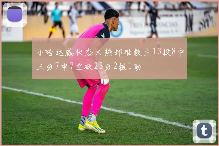 小哈达威状态火热却难救主13投8中三分7中7空砍23分2板1助
