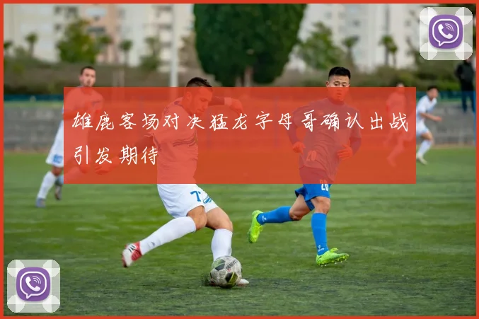 雄鹿客场对决猛龙字母哥确认出战引发期待